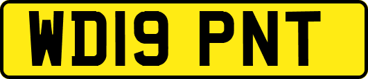 WD19PNT