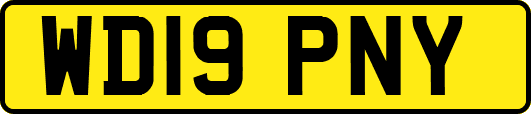 WD19PNY