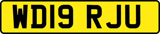WD19RJU