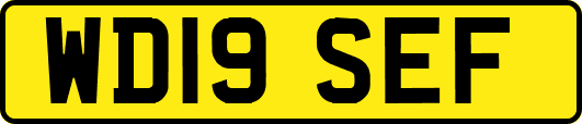 WD19SEF
