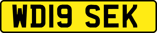 WD19SEK