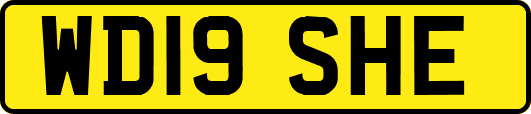 WD19SHE
