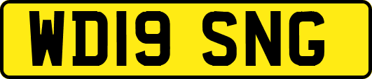 WD19SNG