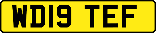 WD19TEF