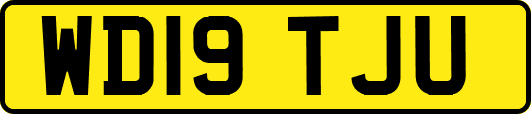 WD19TJU