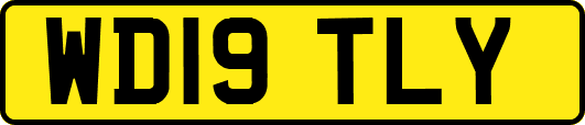 WD19TLY