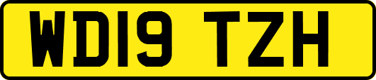 WD19TZH