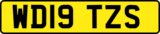 WD19TZS