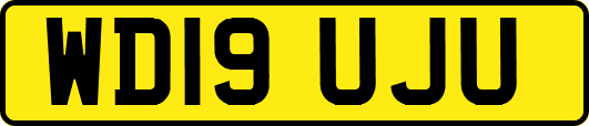 WD19UJU