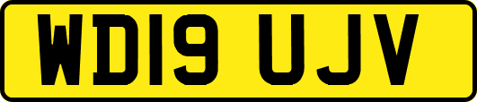 WD19UJV