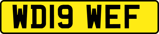 WD19WEF