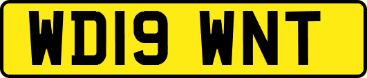 WD19WNT