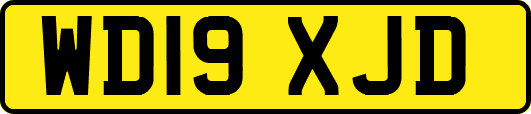 WD19XJD