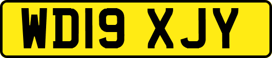 WD19XJY