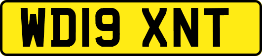 WD19XNT
