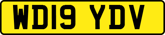 WD19YDV