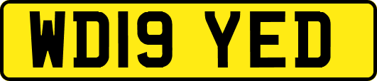 WD19YED