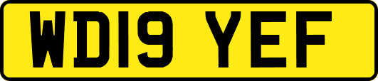 WD19YEF