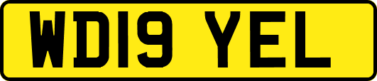 WD19YEL