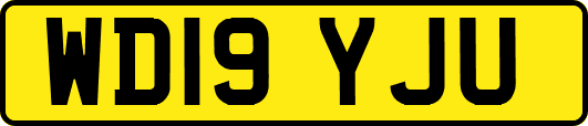 WD19YJU