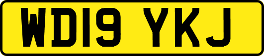 WD19YKJ