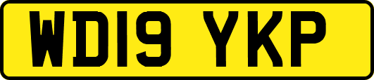 WD19YKP