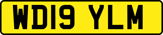 WD19YLM