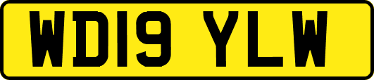 WD19YLW