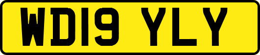 WD19YLY