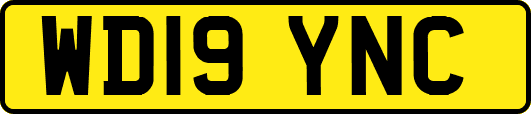 WD19YNC
