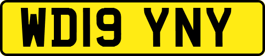 WD19YNY