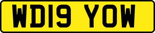 WD19YOW