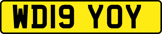 WD19YOY