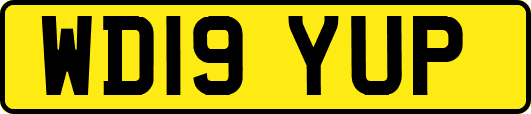 WD19YUP