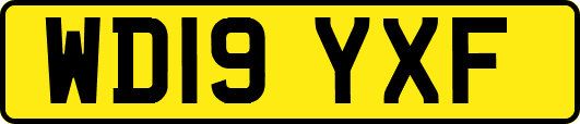 WD19YXF