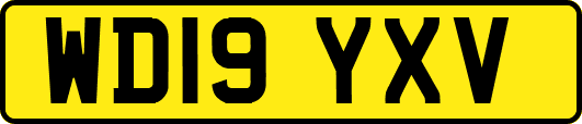 WD19YXV