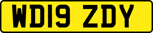 WD19ZDY