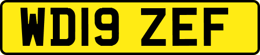 WD19ZEF