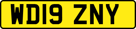 WD19ZNY