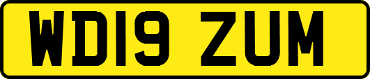 WD19ZUM