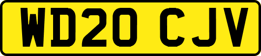 WD20CJV