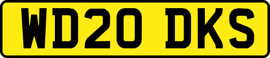 WD20DKS