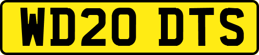 WD20DTS