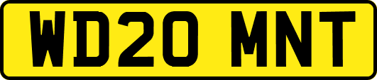 WD20MNT