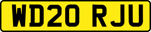 WD20RJU