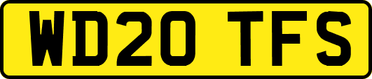 WD20TFS
