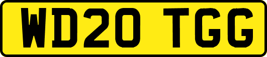 WD20TGG