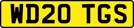 WD20TGS