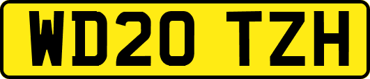 WD20TZH