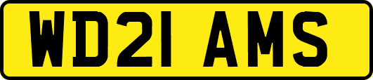 WD21AMS